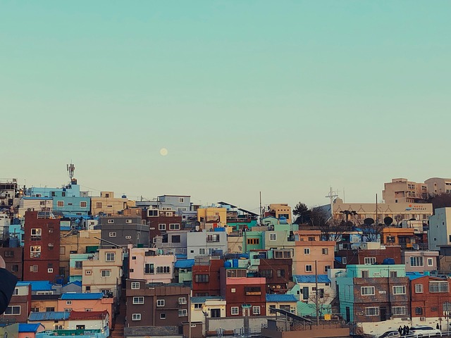 부산 도시 정보