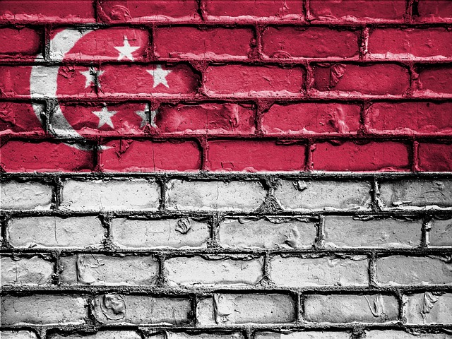 Country Flag