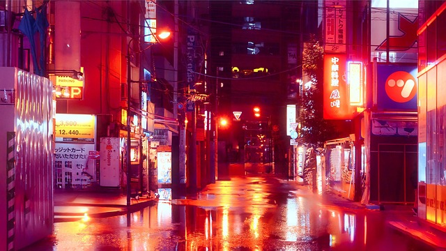 호스텔 및 게스트하우스